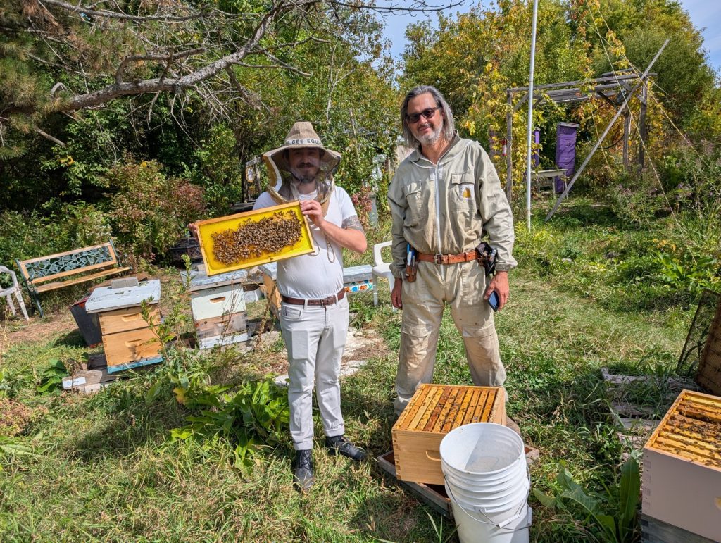 Two people standing out in field with beehives. One person is holding a honey comb with bees up for the photo.